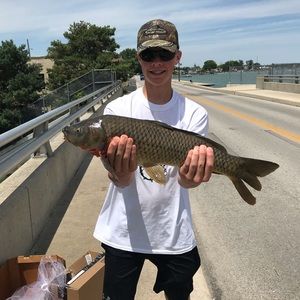 Meet your Posher, Clayton